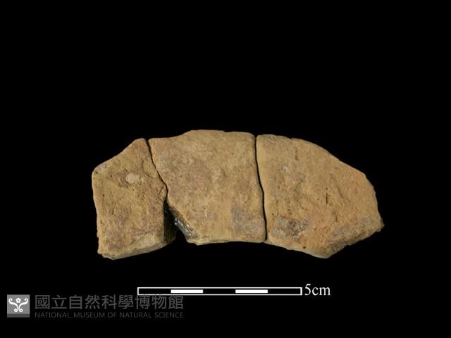 連杯形器藏品圖，第1張