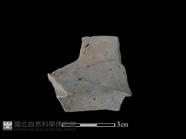 陶盆藏品圖，第1張