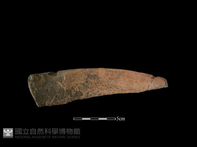 陶罐藏品圖，第2張