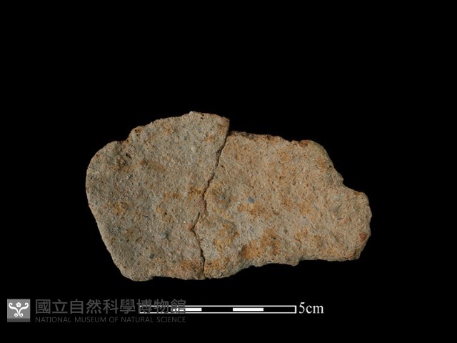 陶片藏品圖，第1張