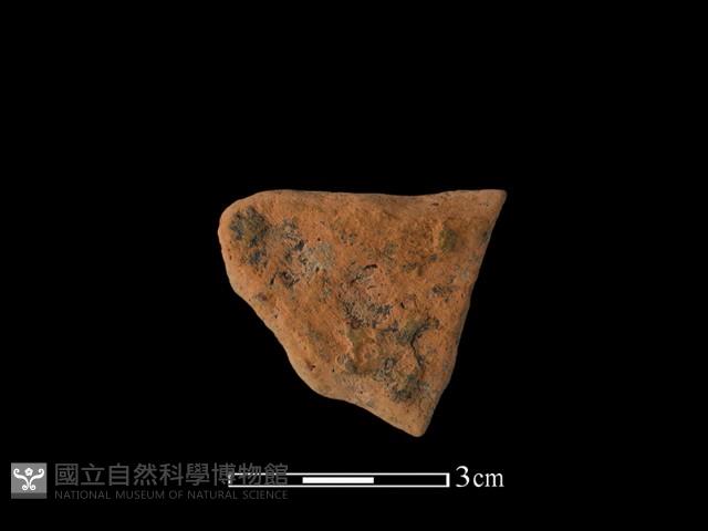 連杯形器藏品圖，第2張