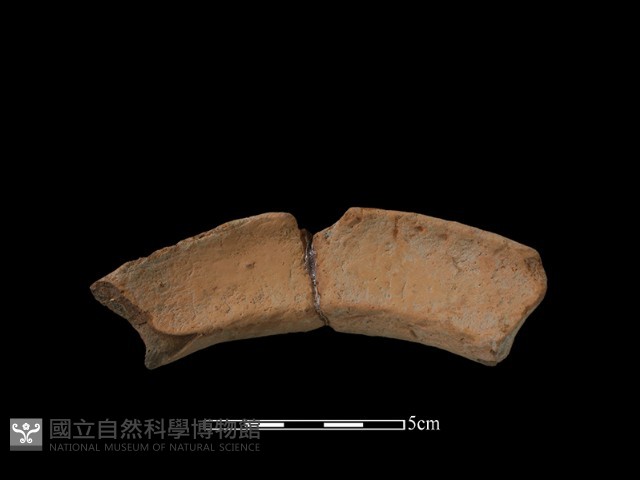 陶罐藏品圖，第2張