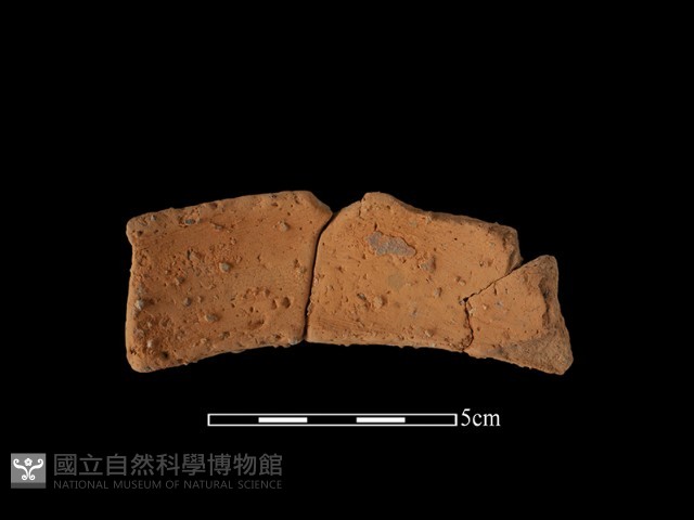 陶罐藏品圖，第1張