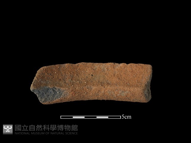 陶罐藏品圖，第1張