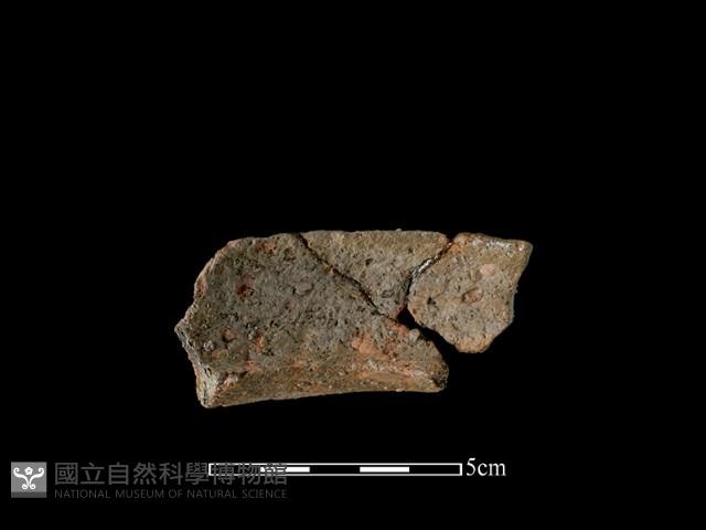 陶罐藏品圖，第1張