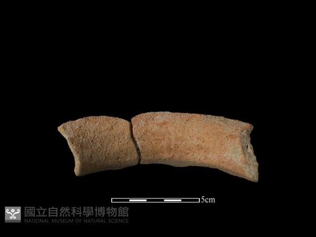 陶罐藏品圖，第2張