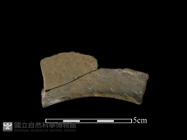 豆形器藏品圖，第1張