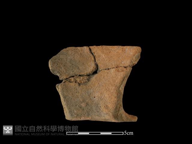 陶罐藏品圖，第1張