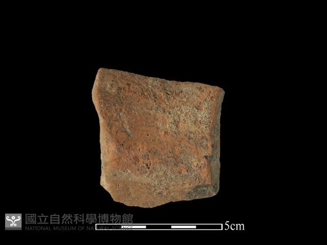 陶罐藏品圖，第1張