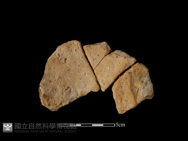 陶片藏品圖，第3張