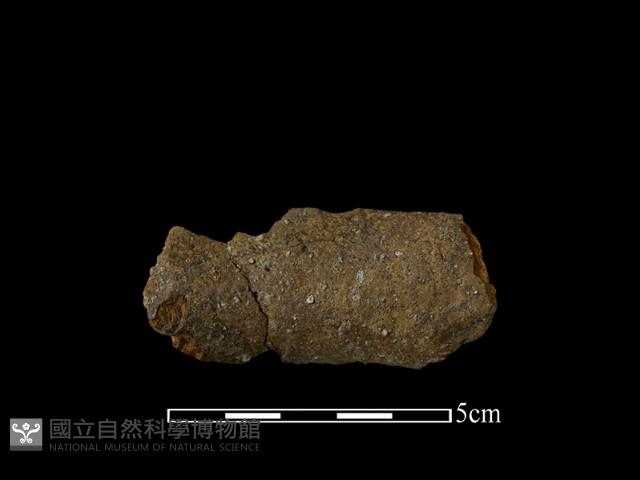 陶罐藏品圖，第2張