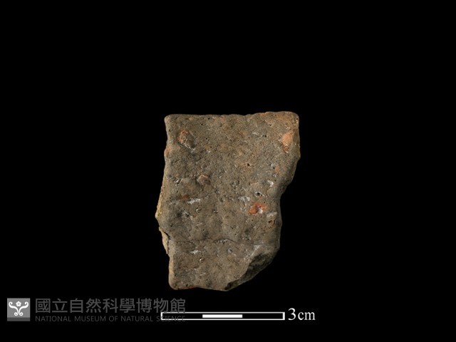 陶罐藏品圖，第1張