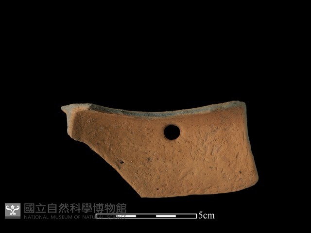 陶片藏品圖，第1張