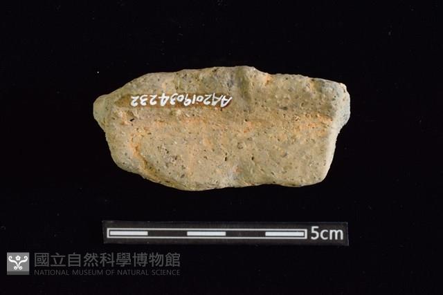 陶片藏品圖，第2張