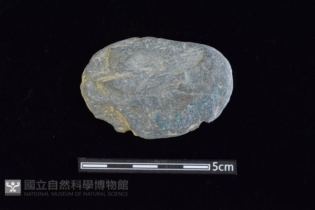 網墜藏品圖，第1張