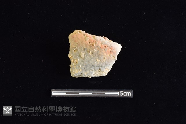陶罐藏品圖，第1張