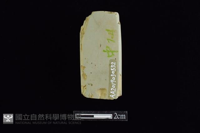 錛鑿形器藏品圖，第2張