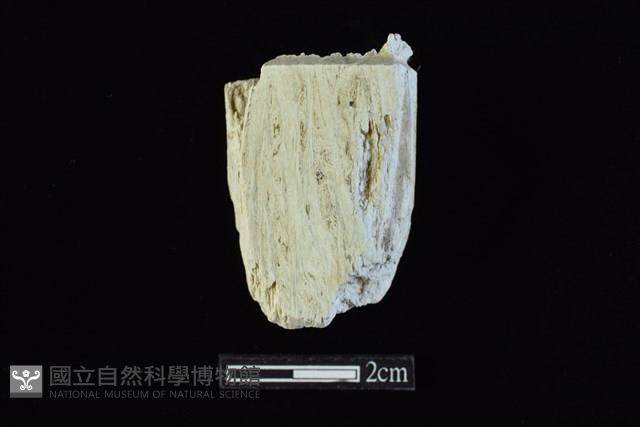 錛鑿形器藏品圖，第1張