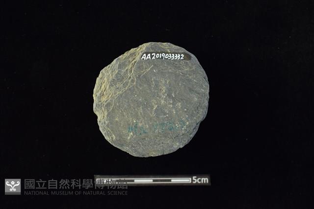 石圓片藏品圖，第2張