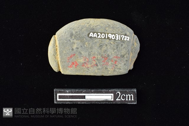 網墜藏品圖，第2張