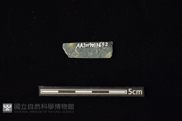 石材藏品圖，第2張