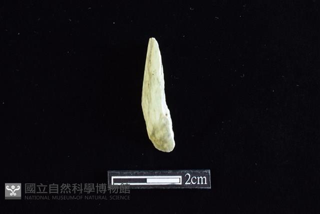 錛鑿形器藏品圖，第1張