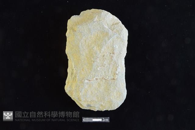 斧鋤形器藏品圖，第1張