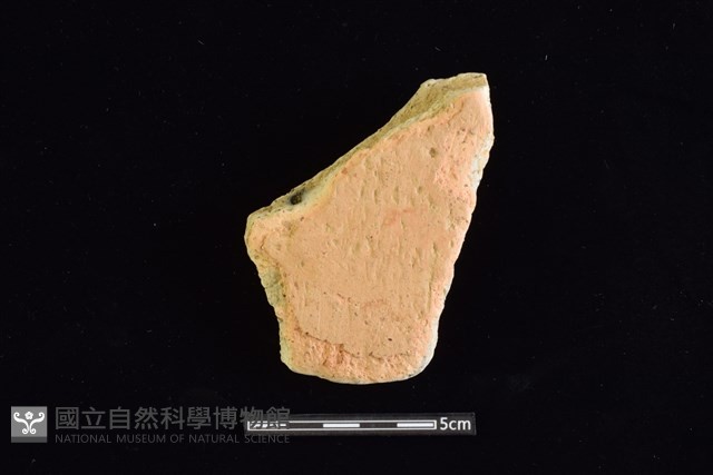 陶片藏品圖，第1張