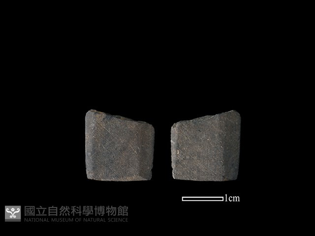 矛鏃形器藏品圖，第1張