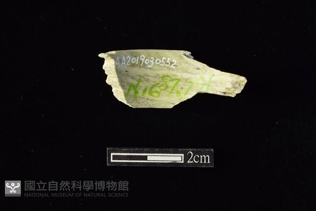 玉環藏品圖，第2張