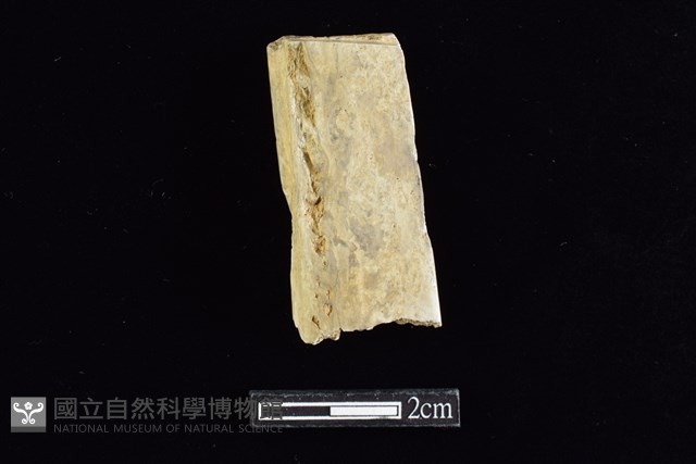 錛鑿形器藏品圖，第1張