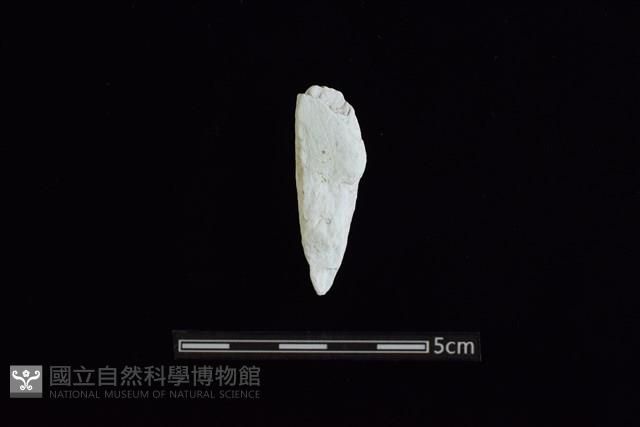 玉料藏品圖，第2張