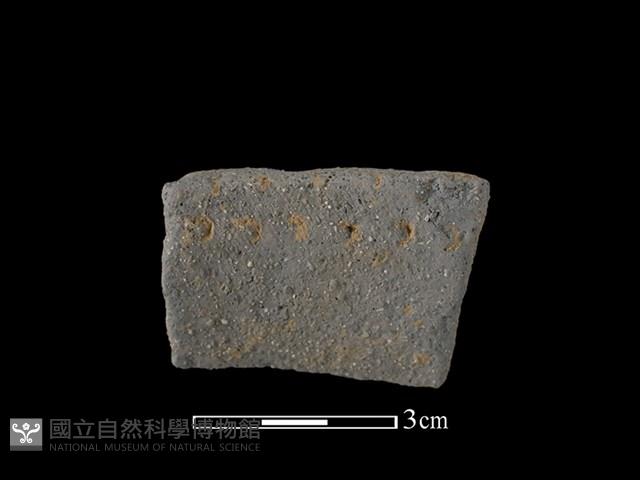 陶罐藏品圖，第2張