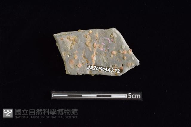 陶片藏品圖，第2張