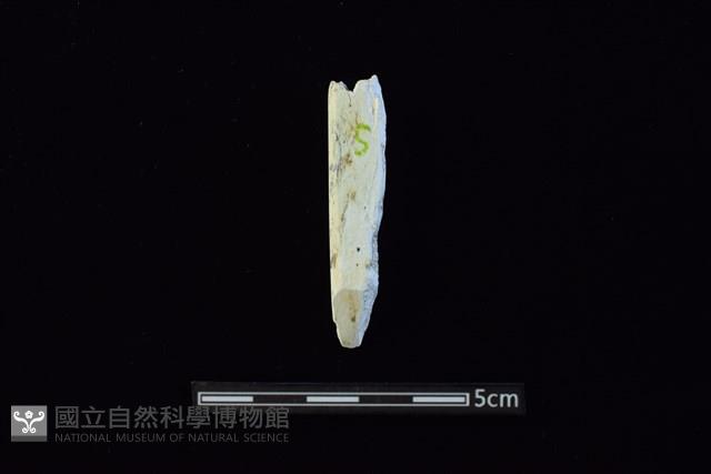 錛鑿形器藏品圖，第1張