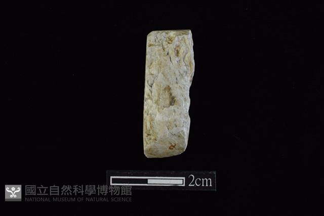 錛鑿形器藏品圖，第1張