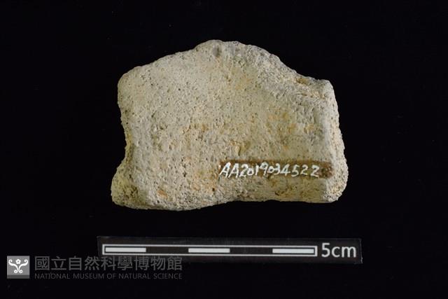 陶甕藏品圖，第2張