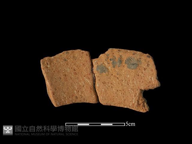 陶罐藏品圖，第2張