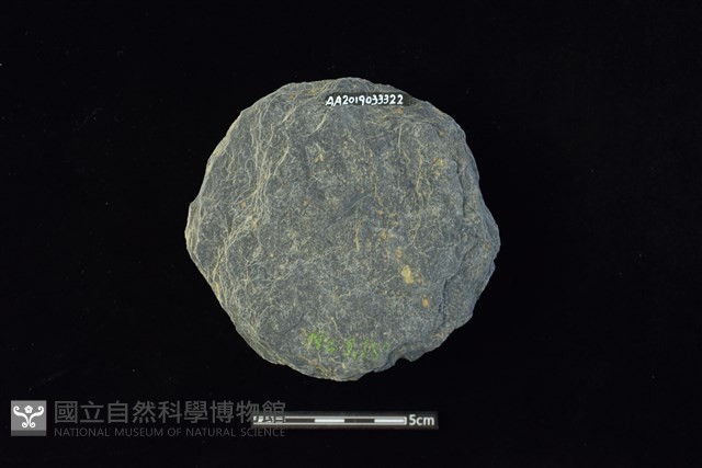 石圓片藏品圖，第2張
