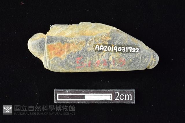 網墜藏品圖，第2張