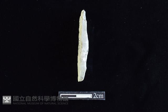 錛鑿形器藏品圖，第1張