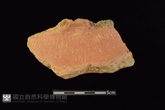 陶罐藏品圖，第1張