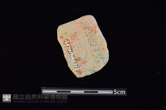陶片藏品圖，第2張