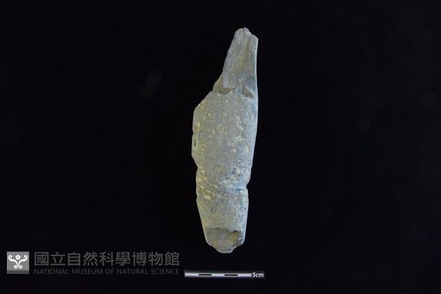 石鎚藏品圖，第1張