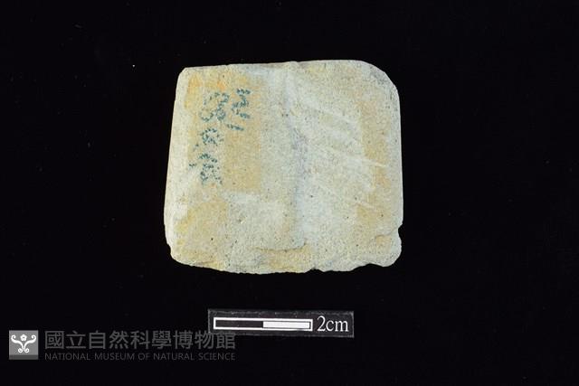 錛鑿形器藏品圖，第2張