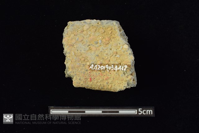 陶罐藏品圖，第2張