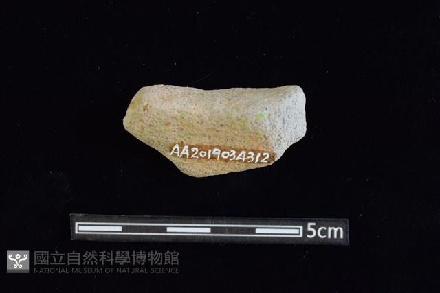 陶罐藏品圖，第2張