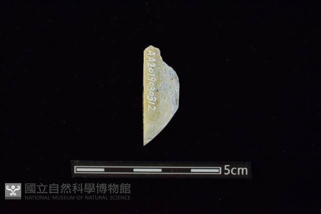 錛鑿形器藏品圖，第1張