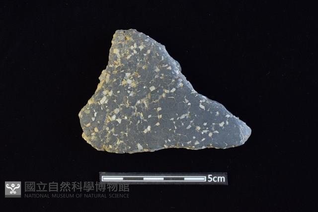 陶片藏品圖，第1張