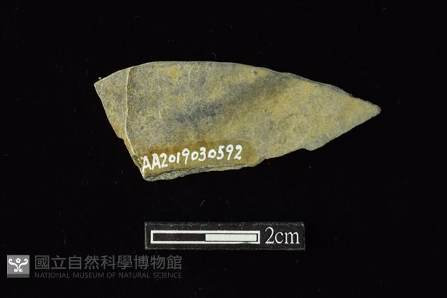 石環藏品圖，第2張